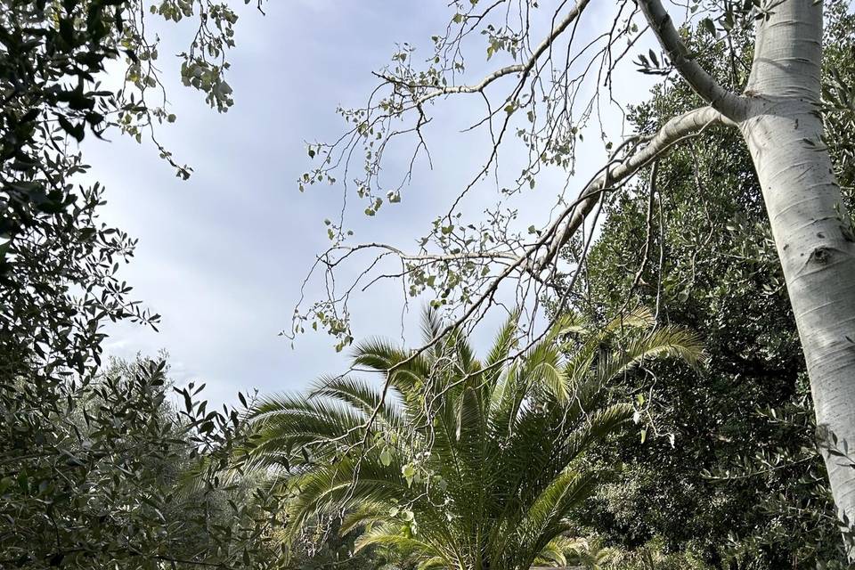 Jardines con columpios