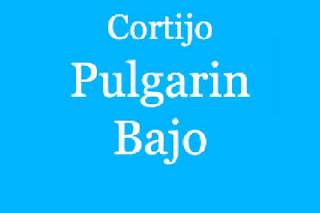 Cortijo Pulgarin Bajo