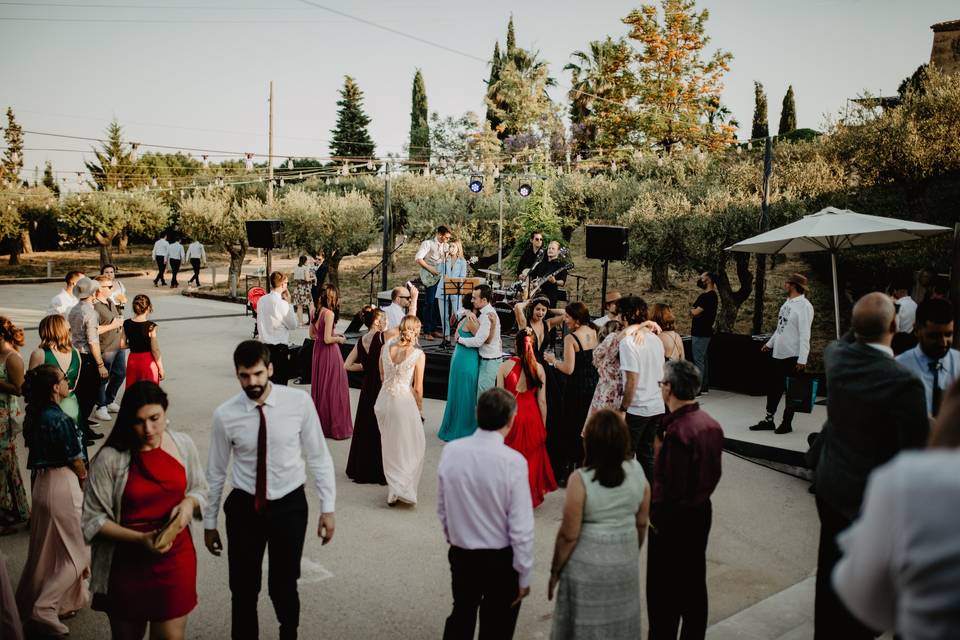 Bodas