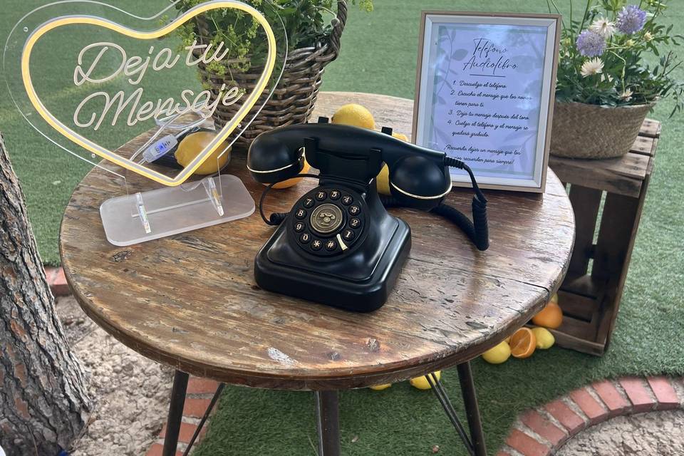 Teléfono audiolibro