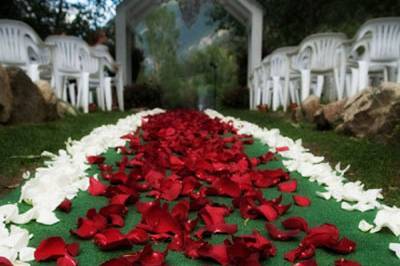 Luxury Bodas