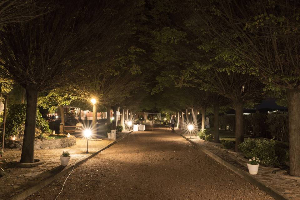 Hacienda Campo de Calatrava