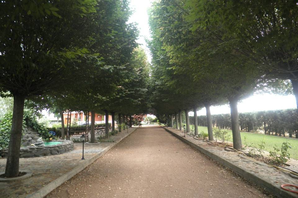 Hacienda Campo de Calatrava