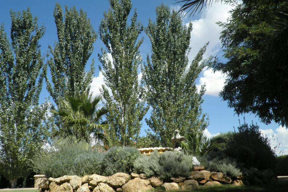 Hacienda Campo de Calatrava