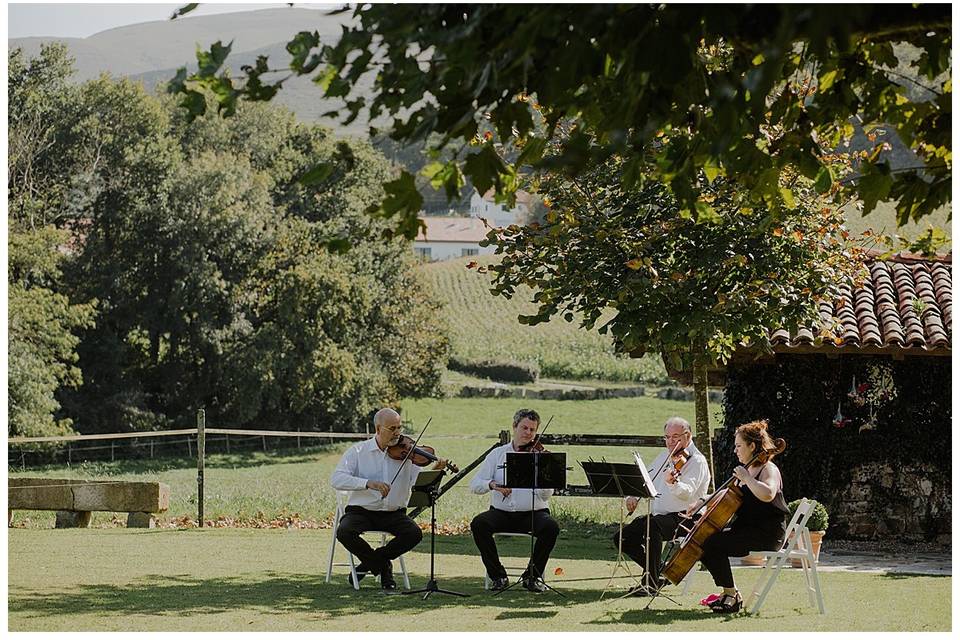 Sotto Voce, cuarteto de cuerda