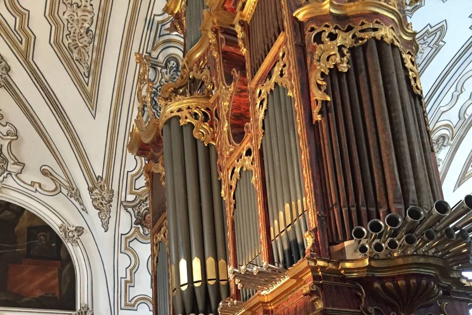 Organista