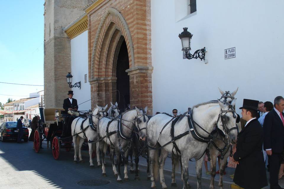 Carruajes Pasearte