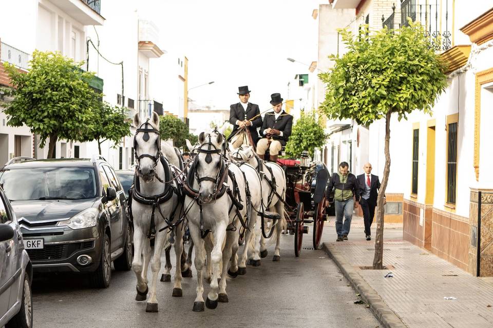 Carruajes Pasearte