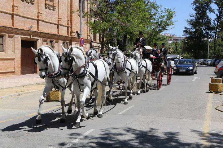 Carruajes Pasearte