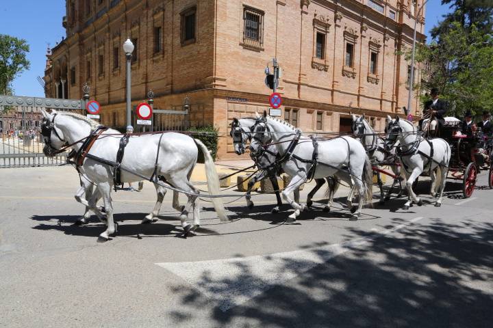 Carruajes Pasearte