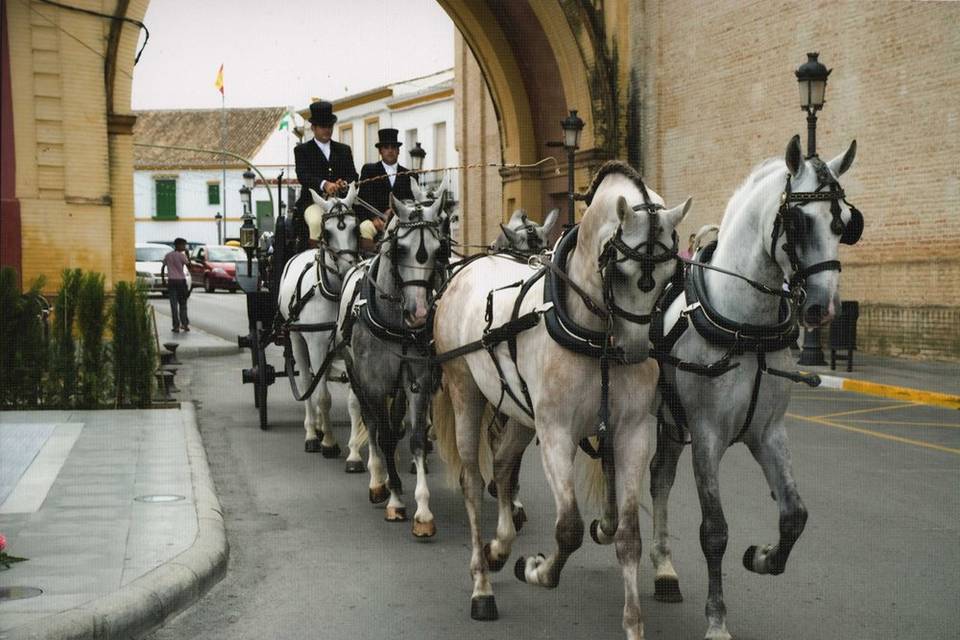 Carruajes Pasearte