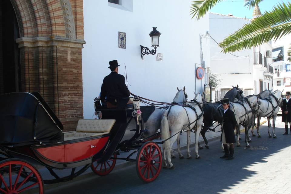 Carruajes Pasearte