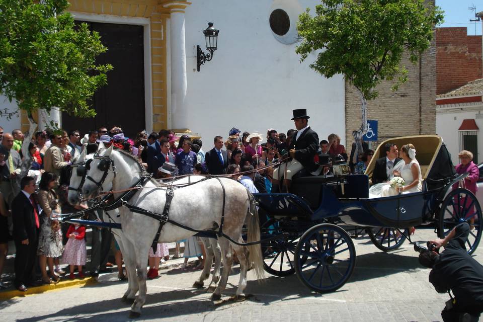 Carruajes Pasearte