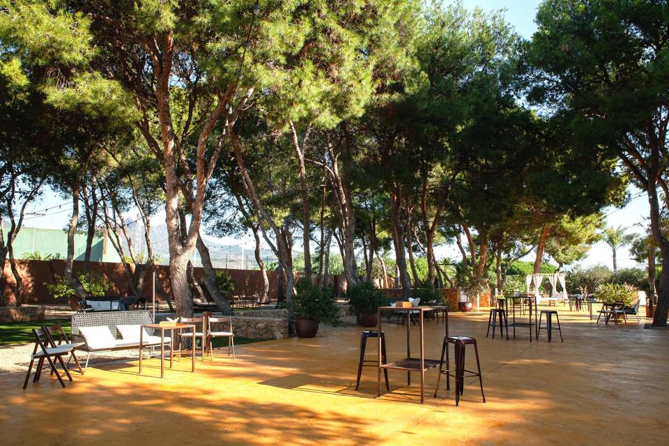 Jardín pinos