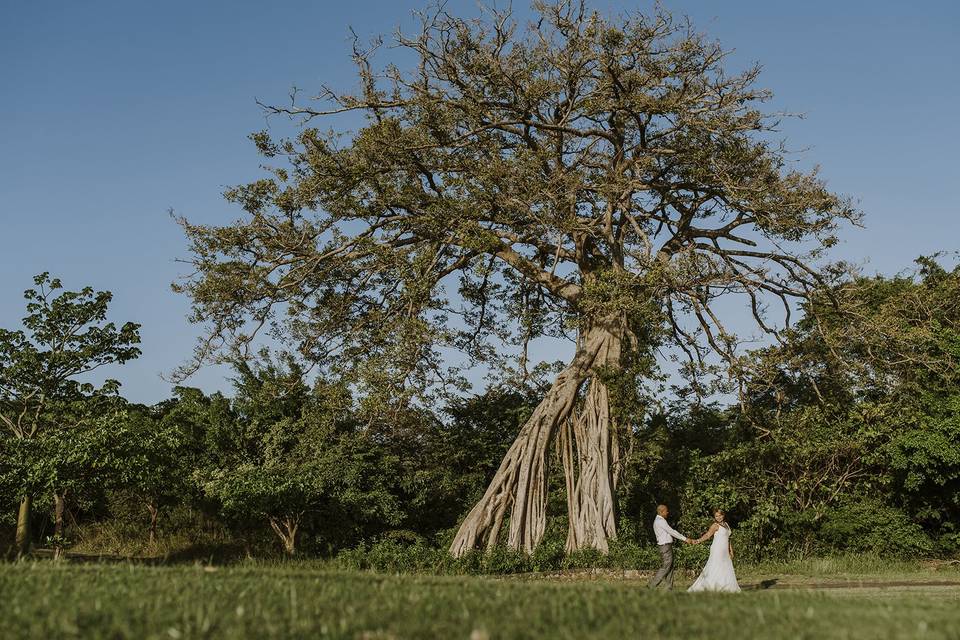 Boda en Costa Rica