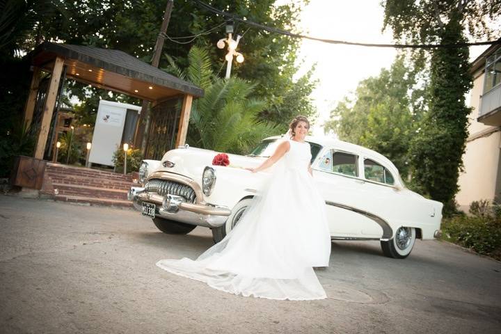 Buick Special 1954