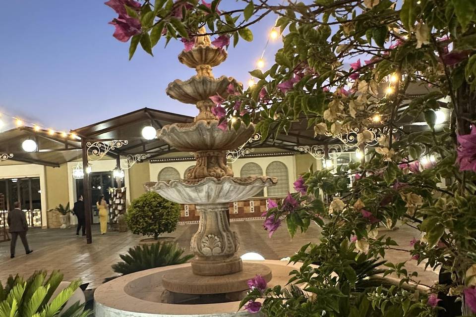 Terraza