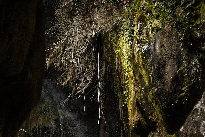 Novios en cascada
