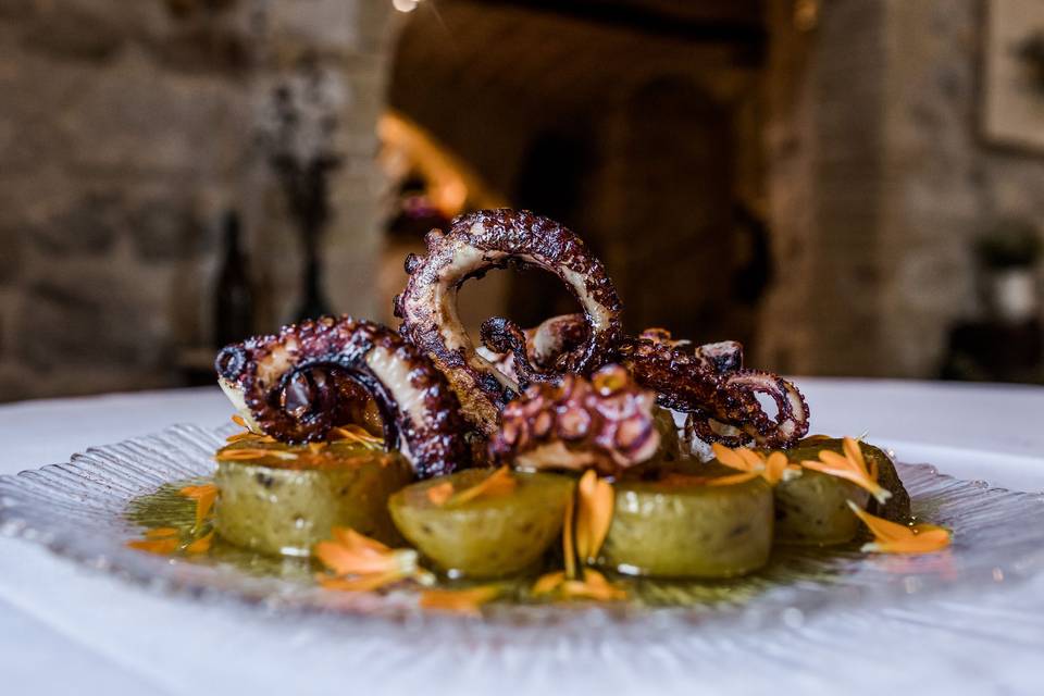 Pulpo tartanero, muy especial