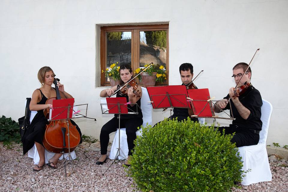 Cuarteto para vuestra ceremonia