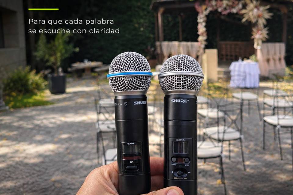 Micrófonía profesional