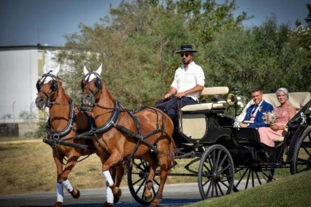 Bodas de cobre