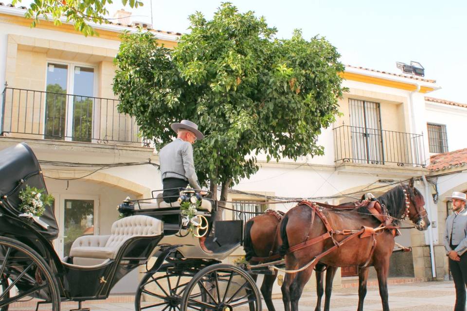 Boda Rociera