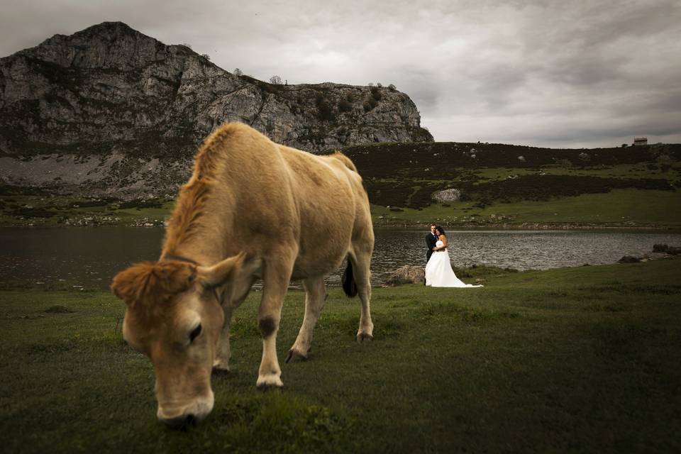 Postboda en Lagos de Covadonga