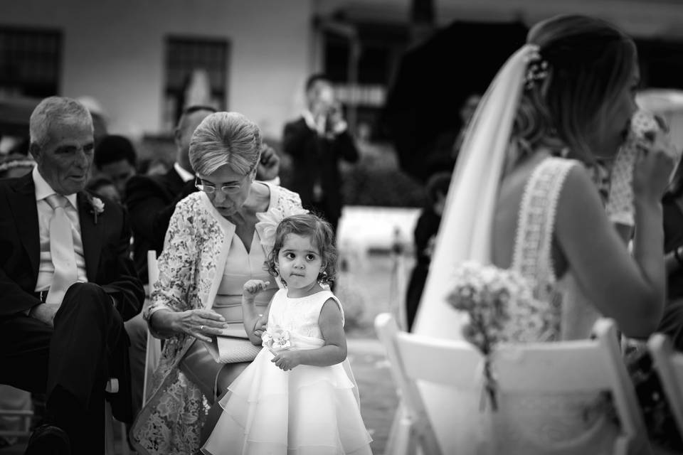 Boda en La Seu Vella