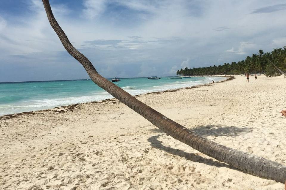 Punta cana