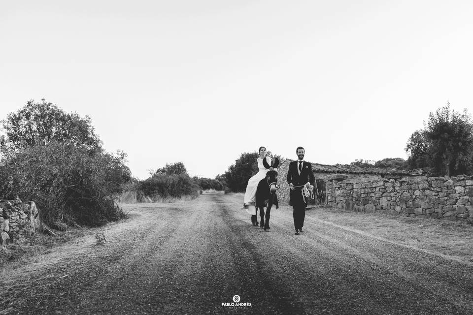 Pablo Andrés Photo
