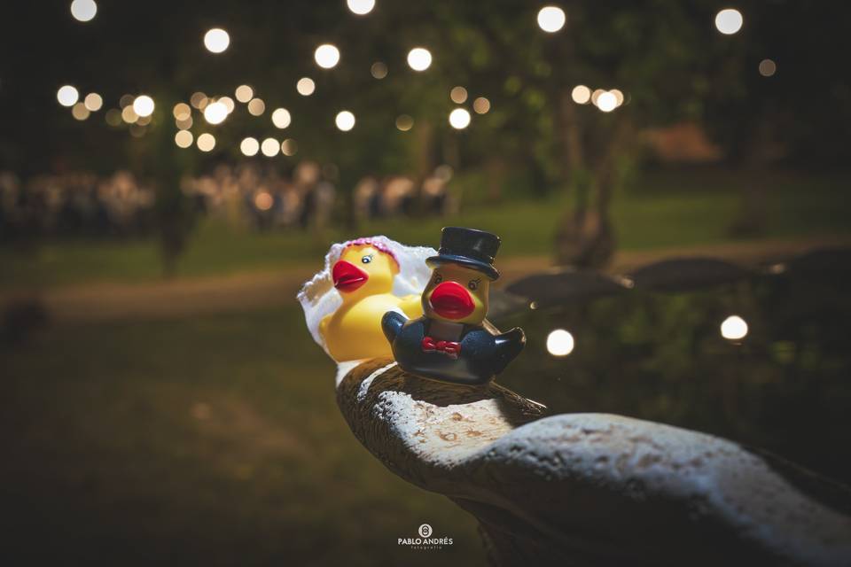 Pablo Andrés Photo