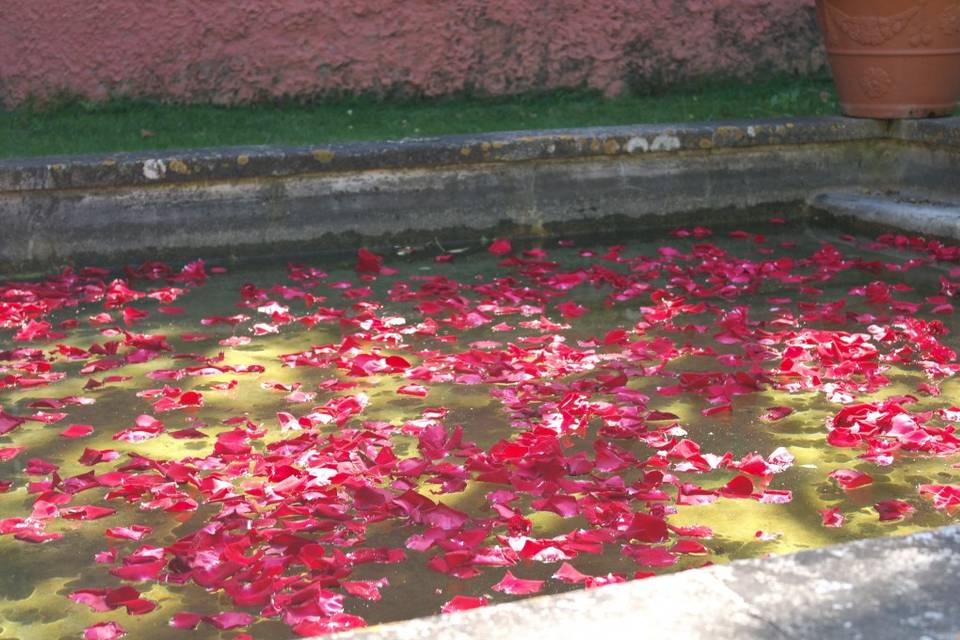 Martínez Floristes