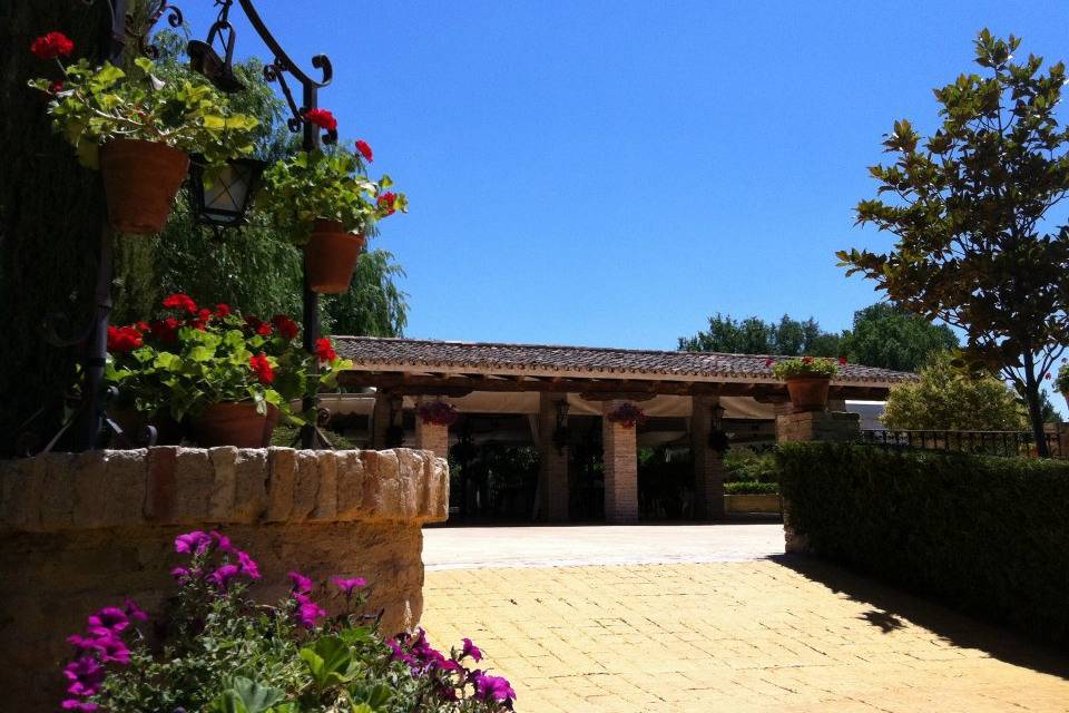 Patio exterior