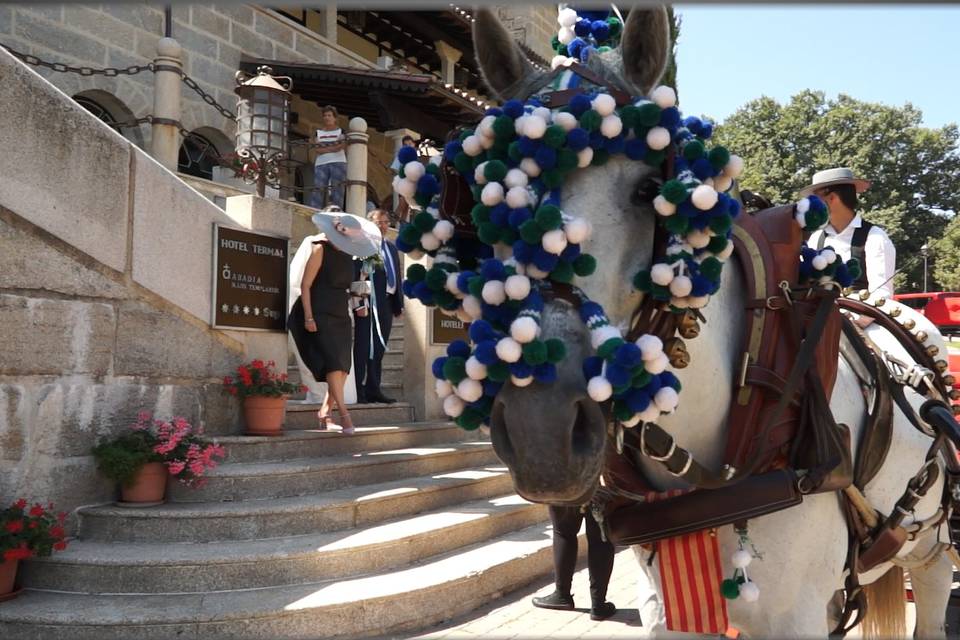 Entrada de la novia