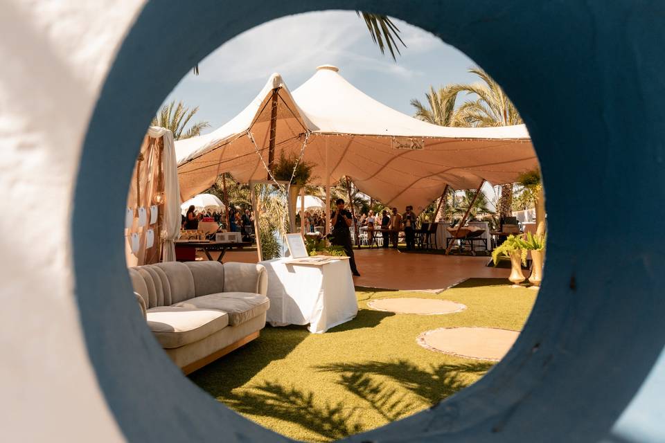 Oasis