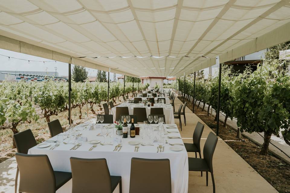 Montaje de boda en terraza