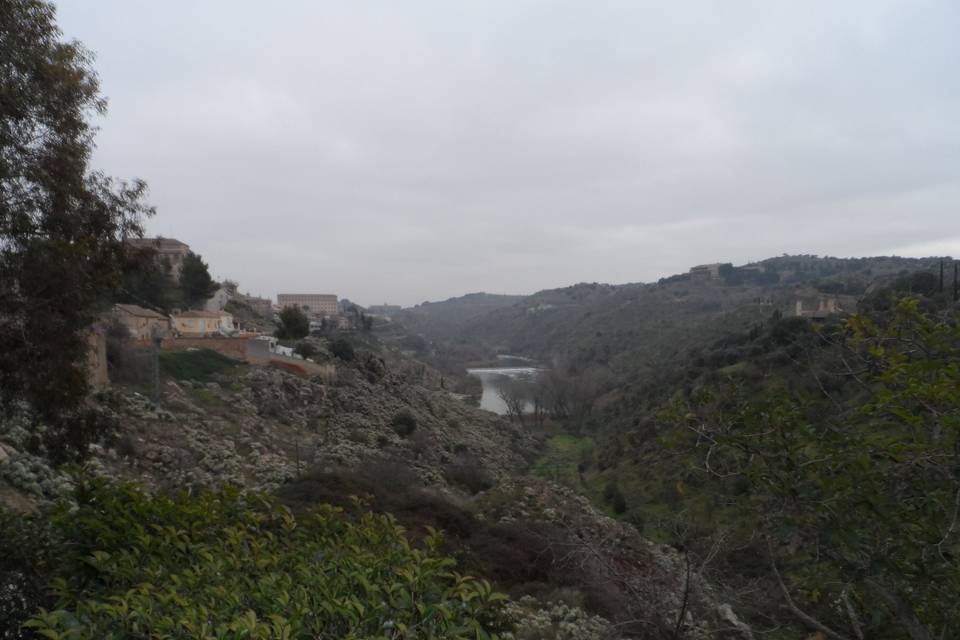 Vistas desde la terraza