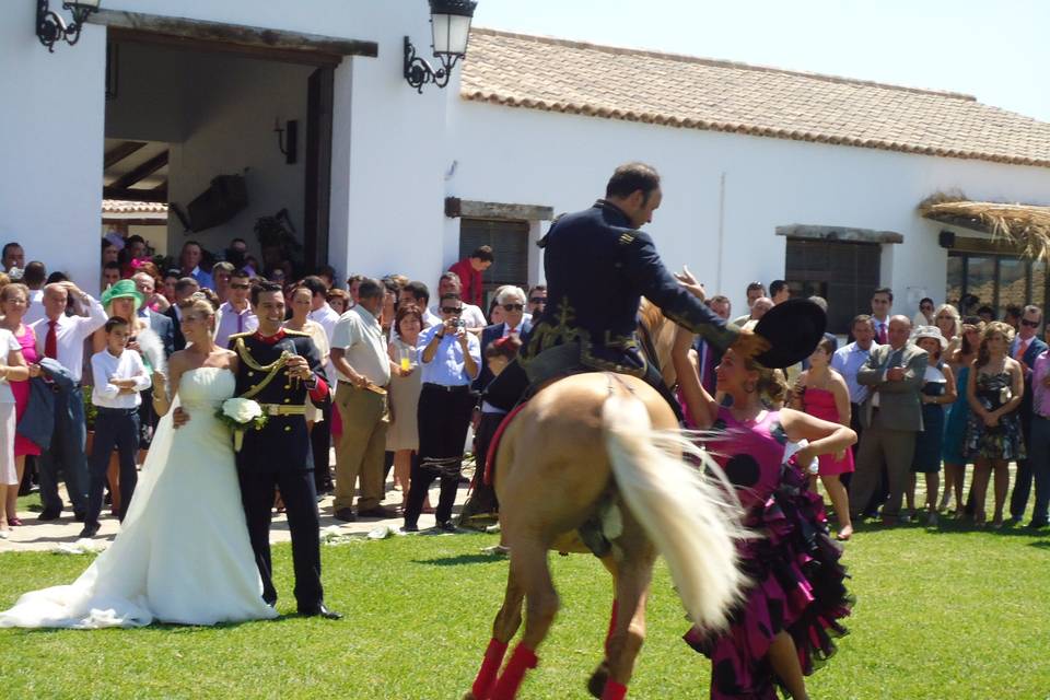 Espectáculo a caballo