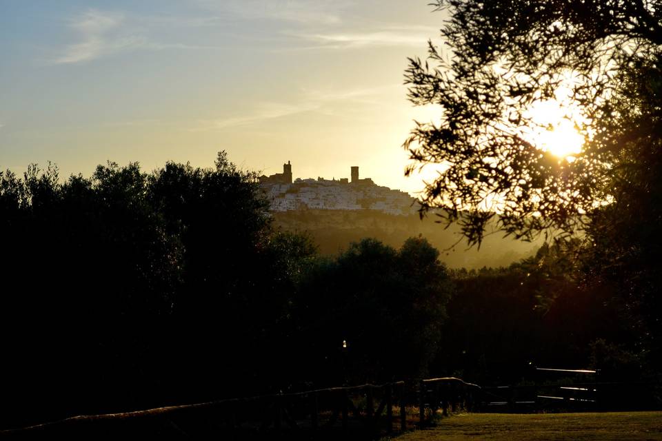 Cortijo Mesa de la Plata