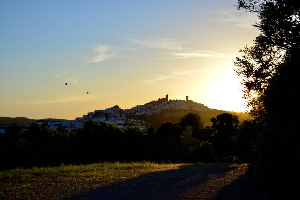 Cortijo Mesa de la Plata