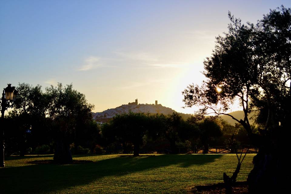 Cortijo Mesa de la Plata