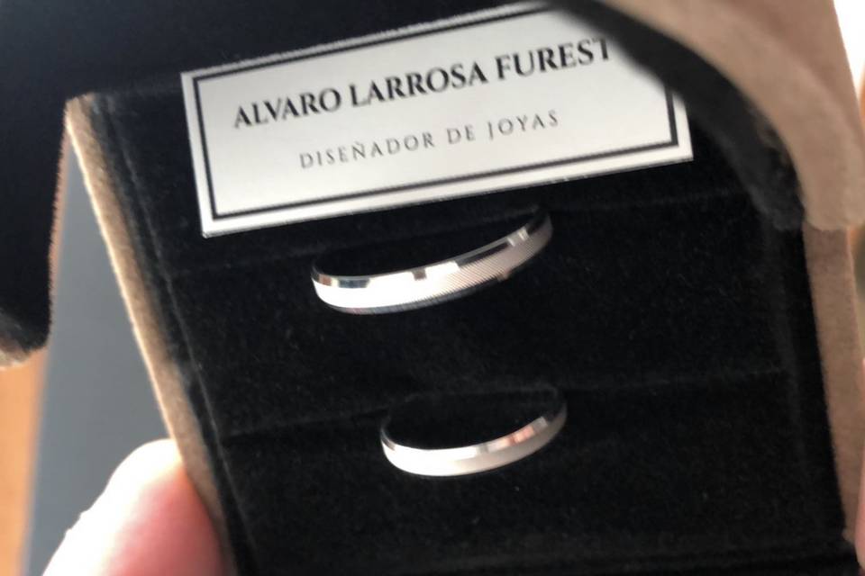 Alvaro Larrosa Furest