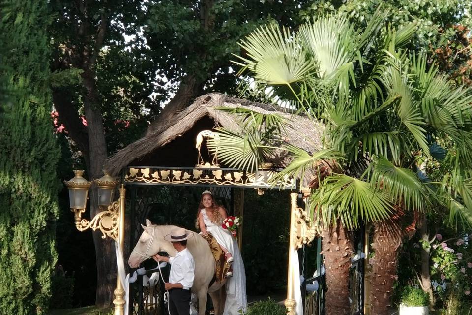 Entrada de la novia a caballo