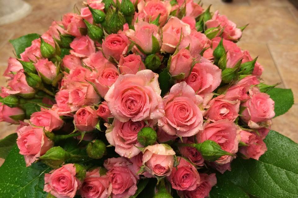 Bouquet rosa pitimini