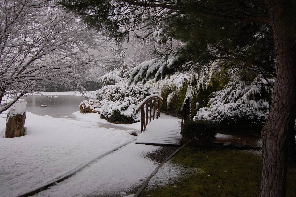 Jardín nevado.