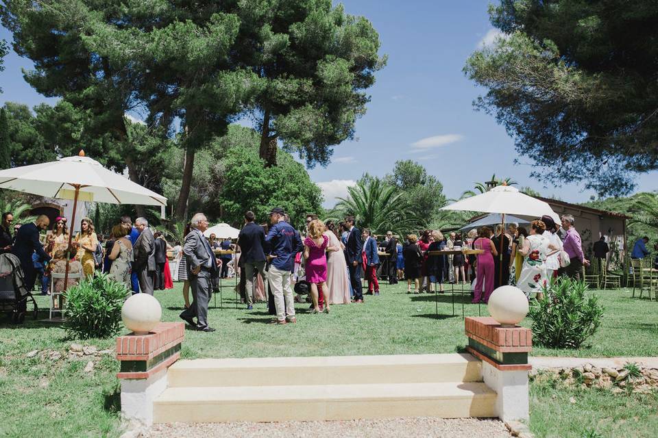 Carpa de boda