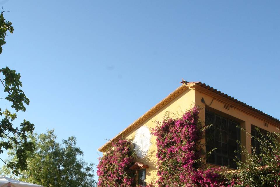 Banquete al aire libre