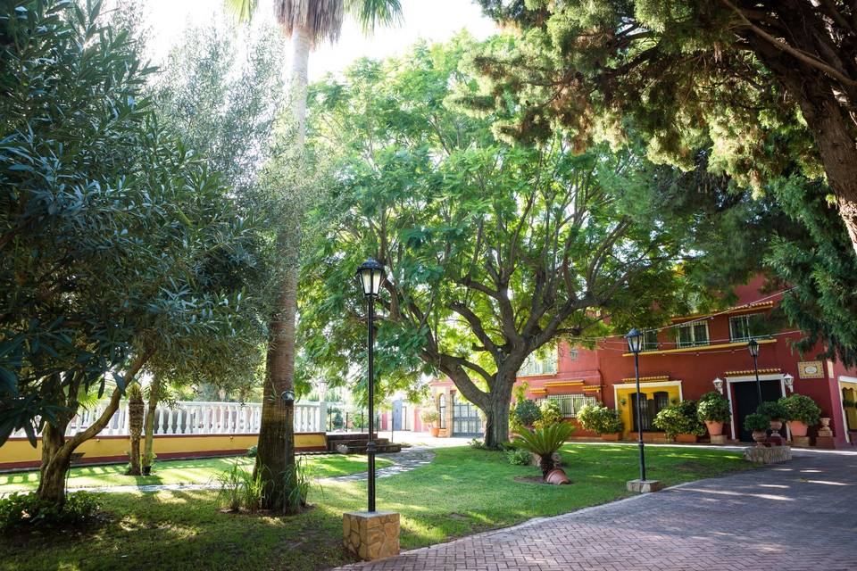 Exterior Jacaranda.