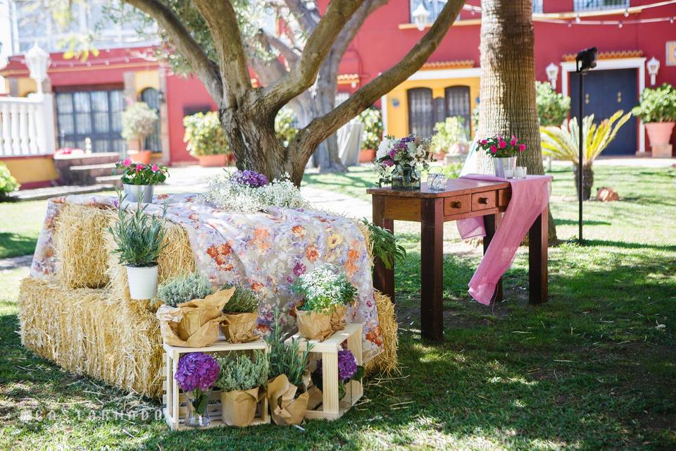 Ceremonia Jardín Jacaranda